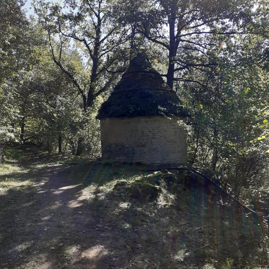 Le Manoir De Carlucet Gite Saint-Crépin-et-Carlucet Kültér fotó