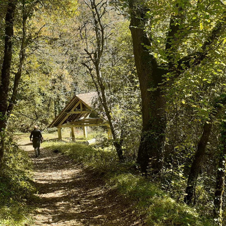 Le Manoir De Carlucet Gite Saint-Crépin-et-Carlucet Kültér fotó